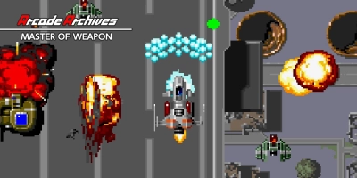 Arcade Archives : Master Of Weapon