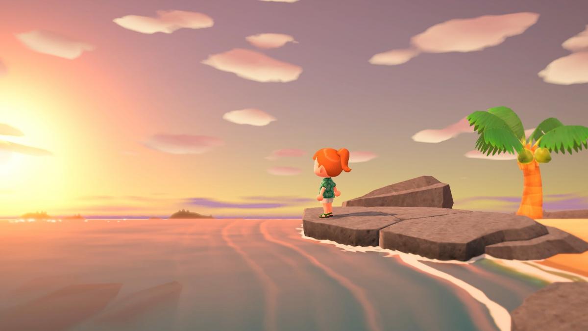 Image Animal Crossing : New Horizons 9