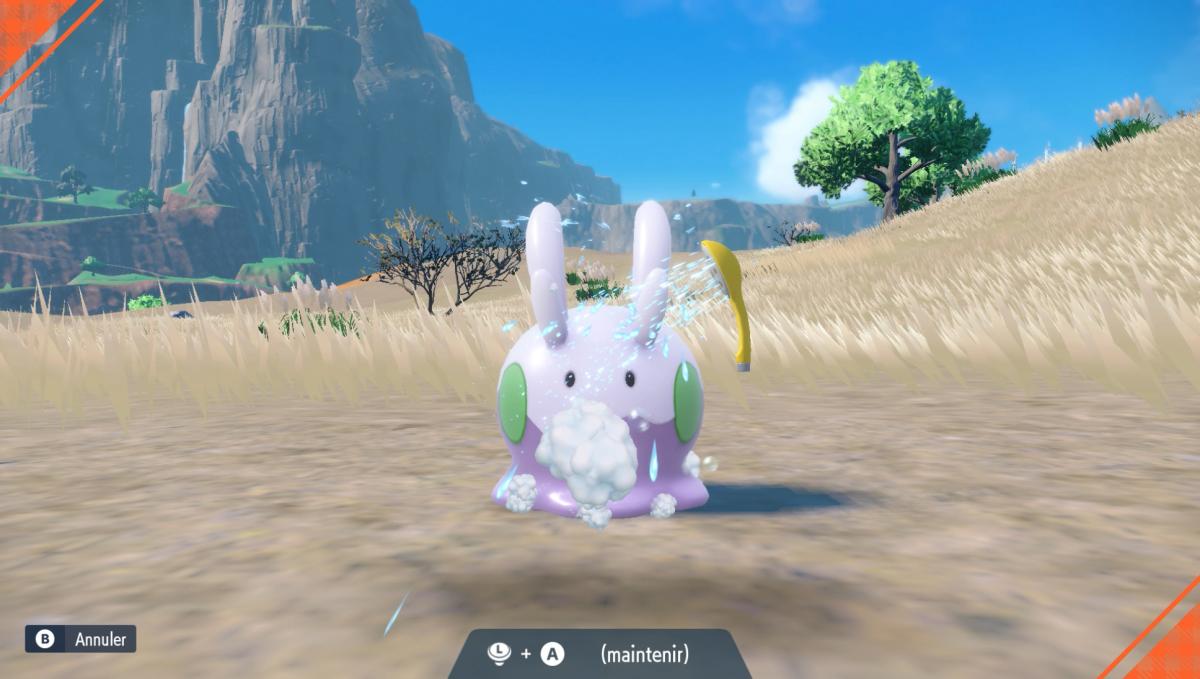 Image Pokémon Écarlate 147