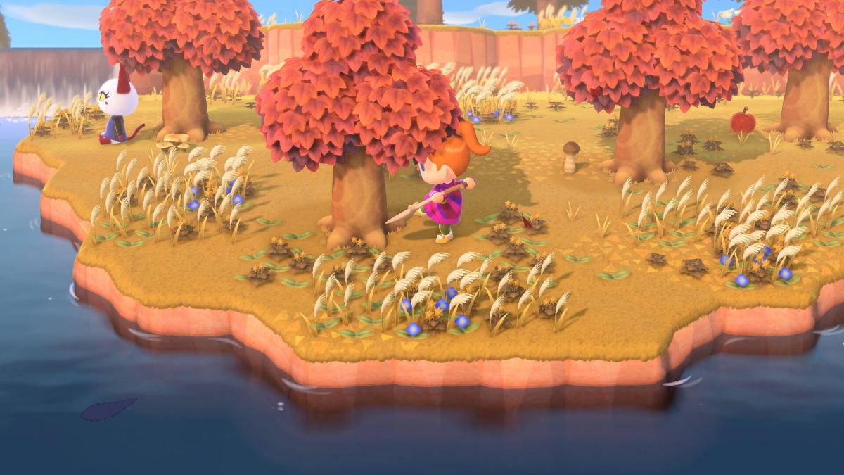 Image Animal Crossing : New Horizons 1