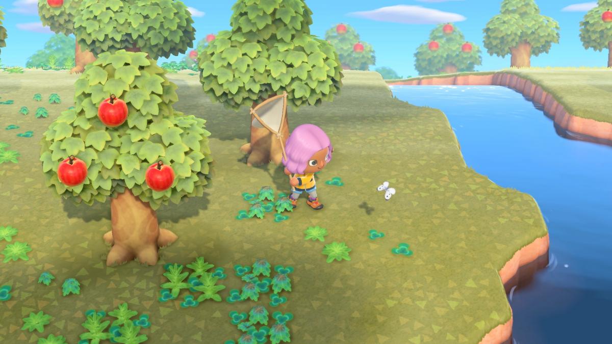 Image Animal Crossing : New Horizons 24