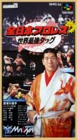 Zen-Nippon Pro Wrestling Dash : Sekai Saikyō Tag