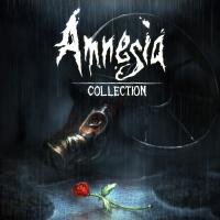 Amnesia : Collection