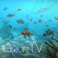 Aqua TV