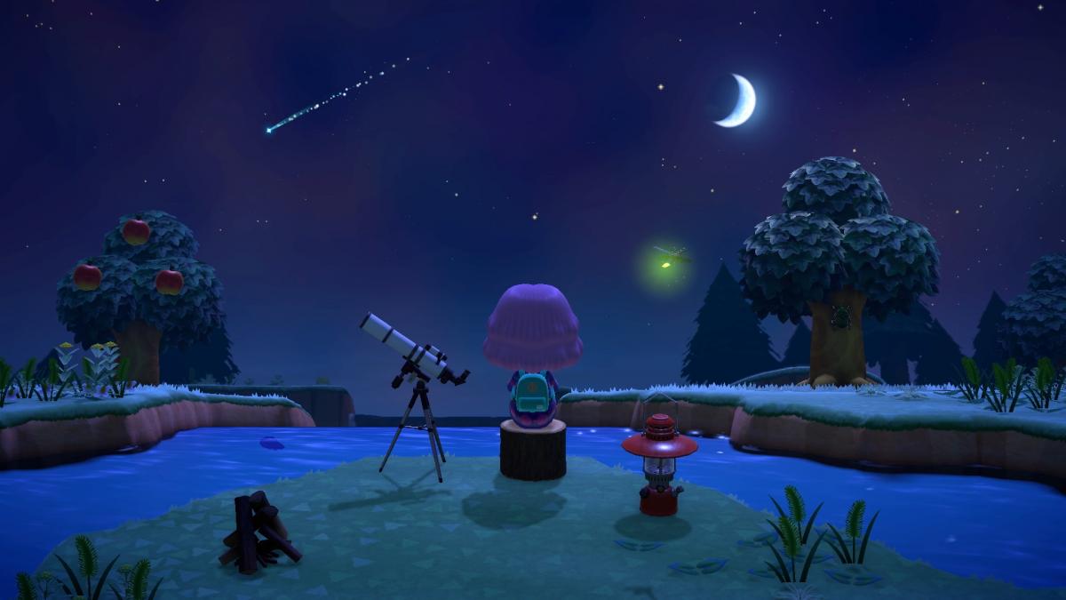 Image Animal Crossing : New Horizons 19