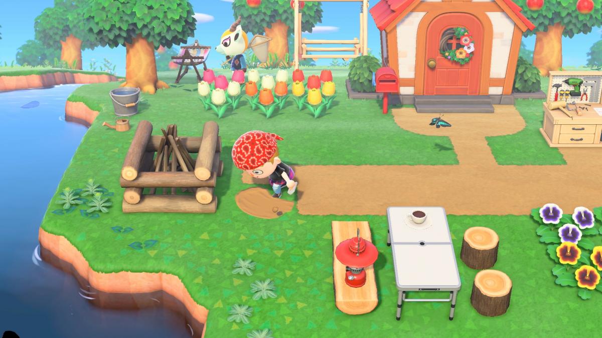 Image Animal Crossing : New Horizons 11