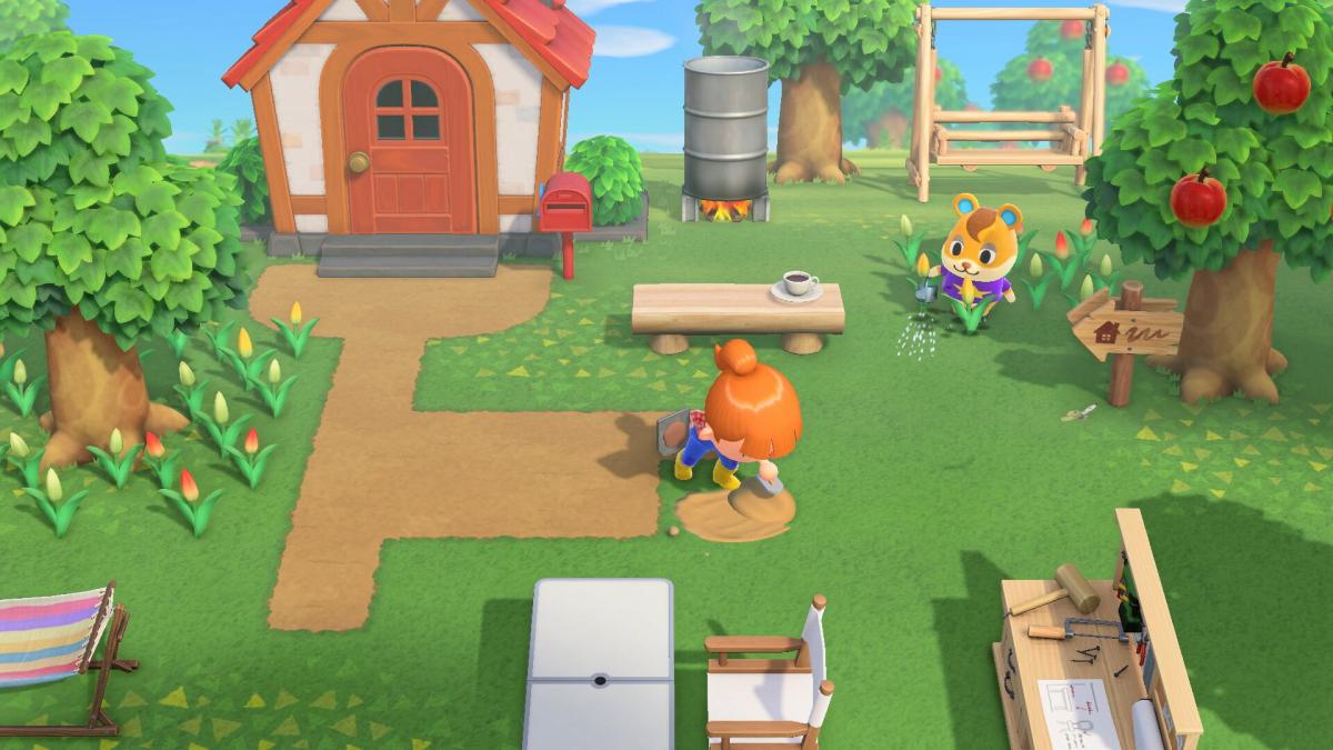Image Animal Crossing : New Horizons 6