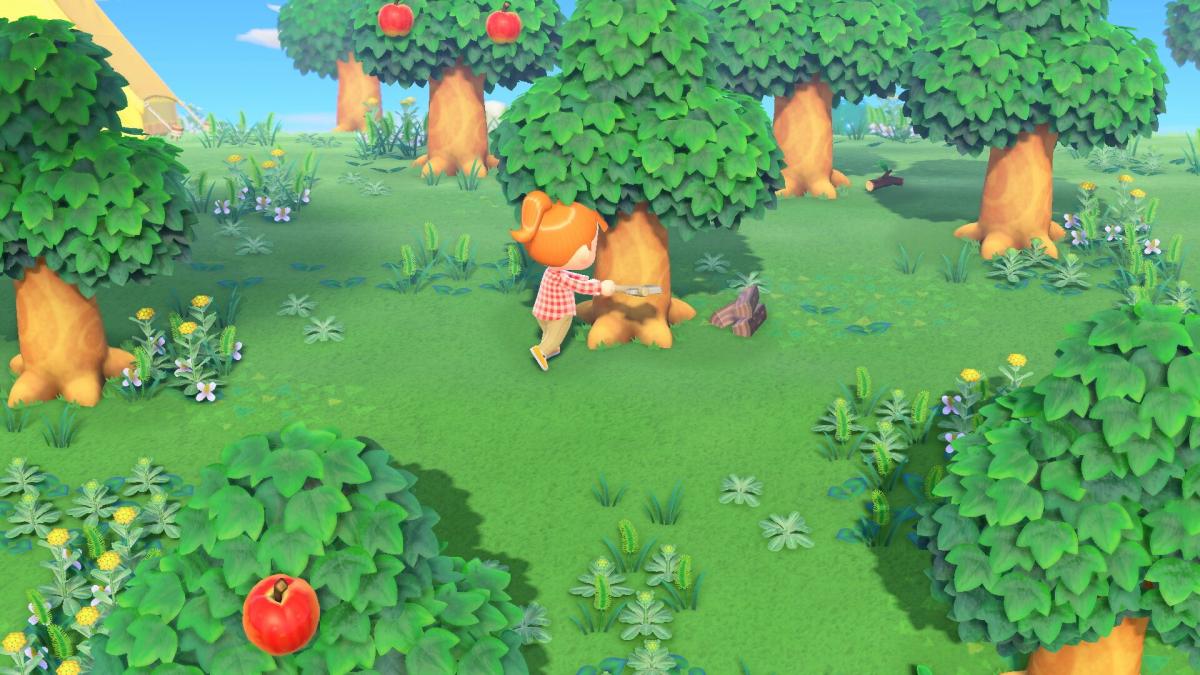 Image Animal Crossing : New Horizons 3